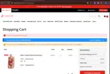 SAVE25 coupon verification screenshot