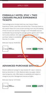 F1GP4 coupon verification screenshot
