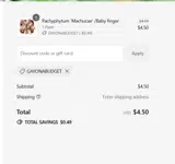 GAYONABUDGET coupon verification screenshot