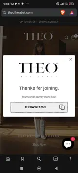THEOW92H675N coupon verification screenshot