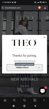 THEODCJTSLCS coupon verification screenshot