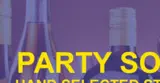 The Party Source coupon verification screenshot
