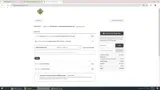 The Party Source coupon verification screenshot