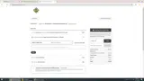 The Party Source coupon verification screenshot