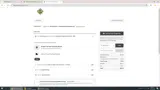 The Party Source coupon verification screenshot