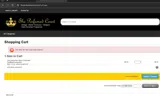 CLOSEOUT25 coupon verification screenshot