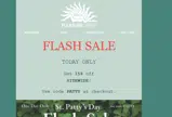 The Pleasure Chest coupon verification screenshot