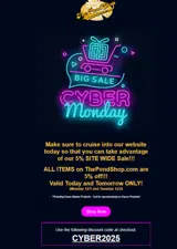 CYBER2025 coupon verification screenshot