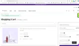 FESTIVE20 coupon verification screenshot