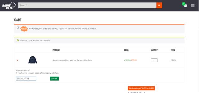 The Rainy Days checkout page showing The Rainy Days discount code box | Screenshot taken by SimplyCodes community member on Mar 29, 2025