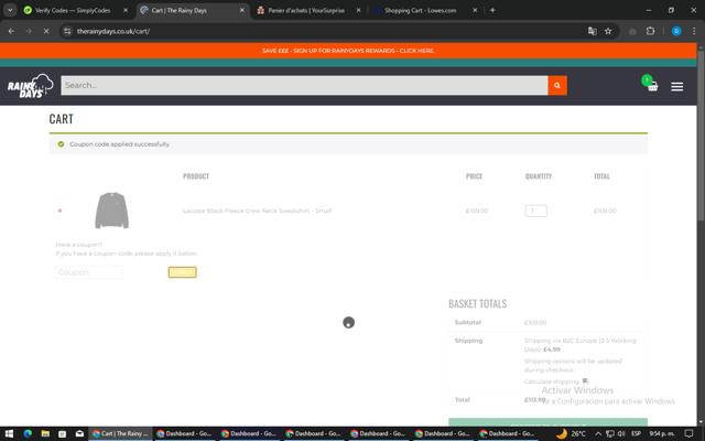 The Rainy Days checkout page showing The Rainy Days discount code box | Screenshot taken by SimplyCodes community member on Jan 8, 2025