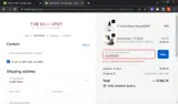 The Skin Spot coupon verification screenshot