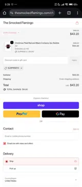 SURPRISE10 coupon verification screenshot