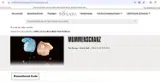 PARTNER20 coupon verification screenshot
