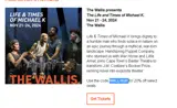 WALLIS20 coupon verification screenshot