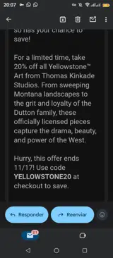 YELLOWSTONE20 coupon verification screenshot
