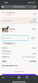 THEBIGCAT10 coupon verification screenshot