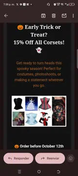 Timeless Trends Corsets coupon verification screenshot
