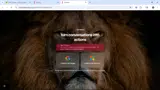 timeOS coupon verification screenshot
