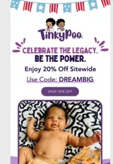 DREAMBIG coupon verification screenshot