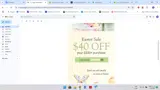 bunny40 coupon verification screenshot
