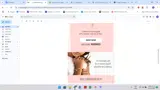 RISEN25 coupon verification screenshot