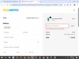 Tiny Saints coupon verification screenshot