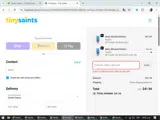 Tiny Saints coupon verification screenshot