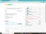 Tiny Saints coupon verification screenshot
