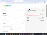 Tiny Saints coupon verification screenshot