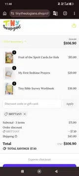 Tiny Theologians coupon verification screenshot