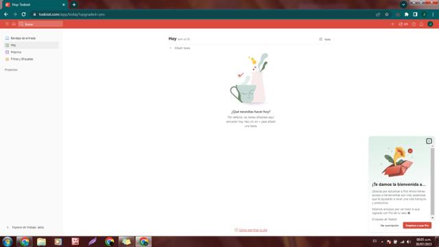 Todoist checkout page showing Todoist promo code box | Screenshot taken by SimplyCodes community member on Jul 30, 2023