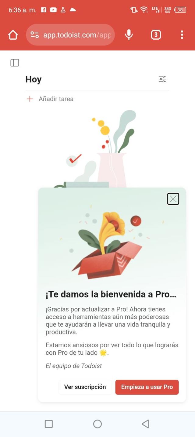 Todoist checkout page showing Todoist promo code box | Screenshot taken by SimplyCodes community member on Dec 21, 2023