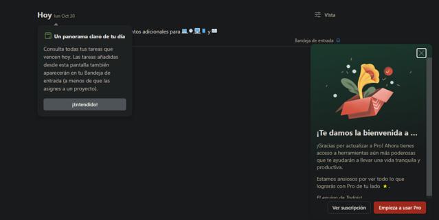Todoist checkout page showing Todoist promo code box | Screenshot taken by SimplyCodes community member on Oct 30, 2023