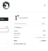SPRING20 coupon verification screenshot