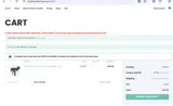 AKIRA10 coupon verification screenshot