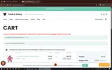 RIOT10 coupon verification screenshot