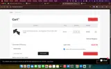 JESUS coupon verification screenshot