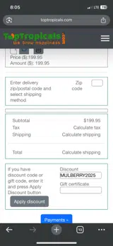 MULBERRY2025 coupon verification screenshot