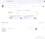 Touch Vintage coupon verification screenshot