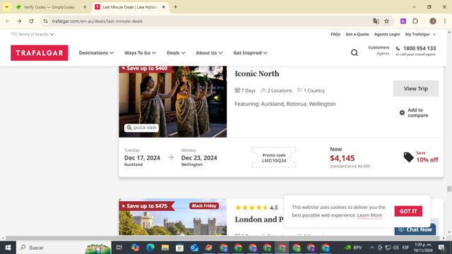 Trafalgar checkout page showing Trafalgar promo code box | Screenshot taken by SimplyCodes community member on Nov 19, 2024