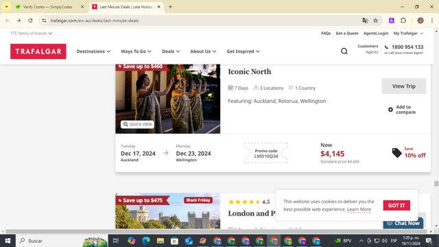 Trafalgar checkout page showing Trafalgar promo code box | Screenshot taken by SimplyCodes community member on Nov 19, 2024