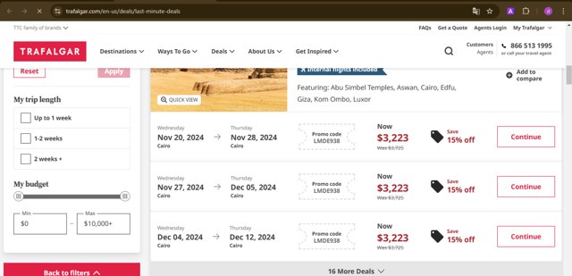 Trafalgar checkout page showing Trafalgar promo code box | Screenshot taken by SimplyCodes community member on Nov 16, 2024