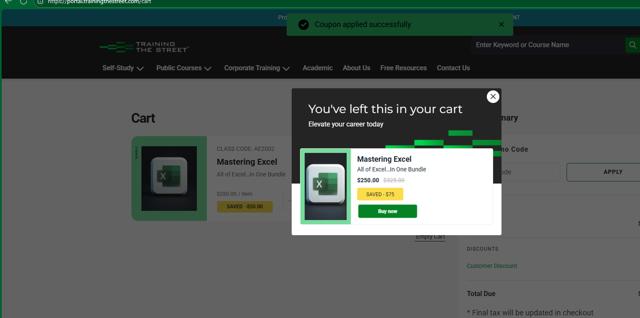 Training The Street checkout page showing Training The Street discount code box | Screenshot taken by SimplyCodes community member on Jun 30, 2025