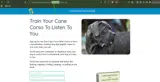 Cane-Corso coupon verification screenshot