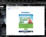 SPRING coupon verification screenshot