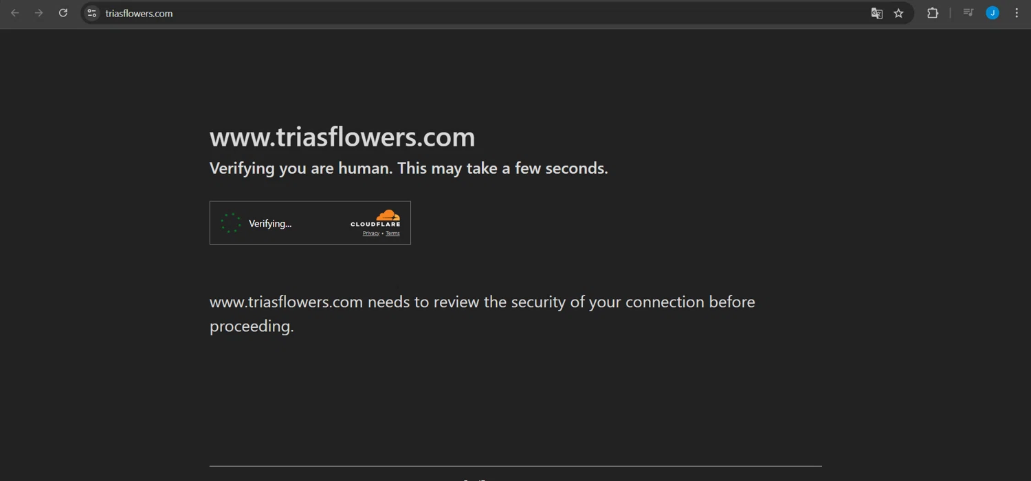 Trias Flowers promo code screenshot showing code save10 applied at Trias Flowers checkout page. Uploaded by SimplyCodes community member Jeanjc on Apr 5, 2025