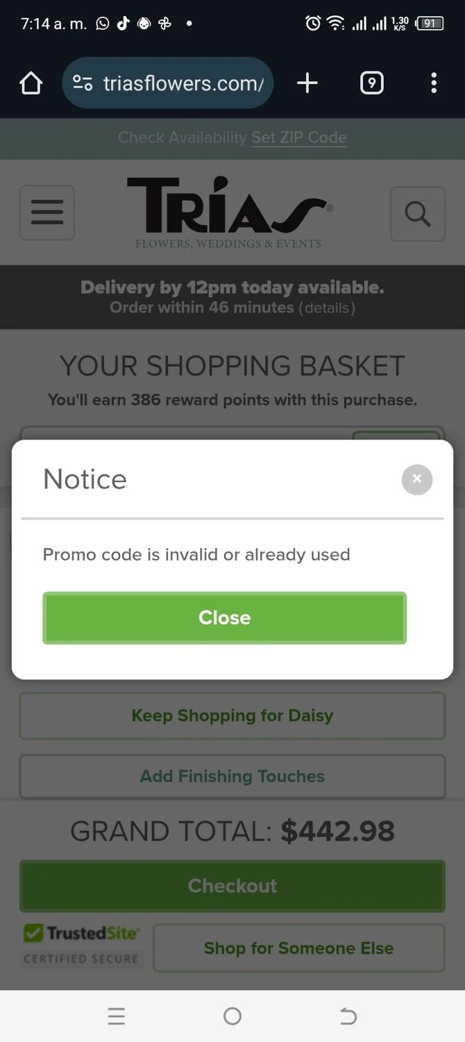 Trias Flowers checkout page showing Trias Flowers promo code box | Screenshot taken by SimplyCodes community member on Jan 13, 2026