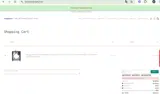 couponbirds2 coupon verification screenshot
