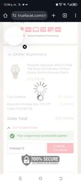 Holiday10 coupon verification screenshot